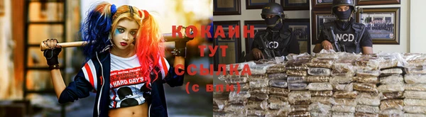 СК Абинск