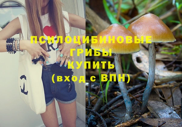 spice Алексин