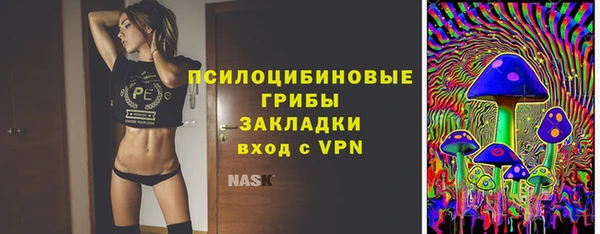 МДПВ Алексеевка