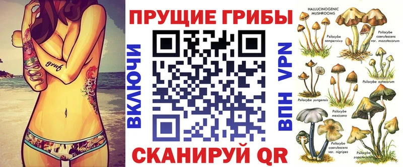 Псилоцибиновые грибы мицелий Берёзовка
